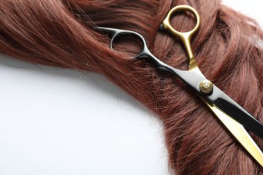 Beyaz arka planda kestane rengi saç teli ve kuaför makası, yakın plan.