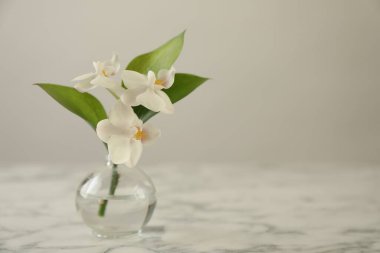 Beautiful orchid flowers with leaves in glass vase on white marble table, closeup. Space for text