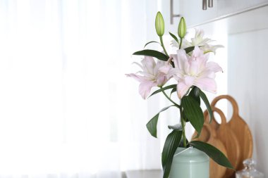 Beautiful lily flowers in can used as vase at home, space for text