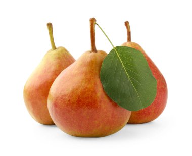 Taze armutlar, beyaz yapraklı yeşil yapraklar.