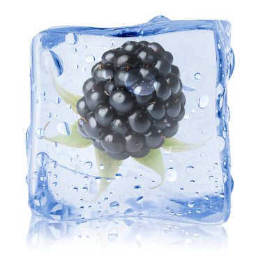 Buz küpündeki taze böğürtlen beyaza izole edilmiş.