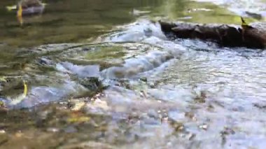 Temiz su ve taşlarla dolu güzel bir nehir, yakın plan. Kamera sağa ve yukarı hareket ediyor