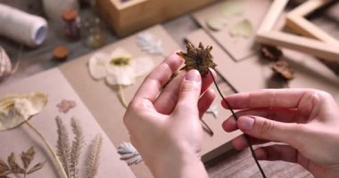 Kuru çiçekli ve defterli kadın ahşap masada, yakın plan.