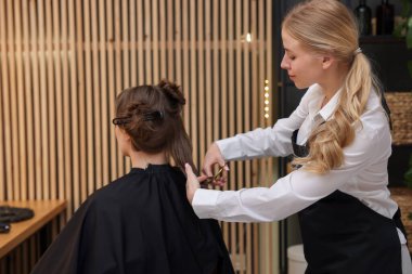 Kuaför kuaförde müşterinin saçını makasla kesiyor.