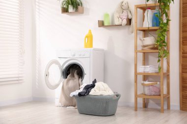 Çamaşır makinesi açık kapı, deterjan ve çamaşır makinesi beyaz duvarın yanında.