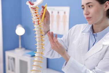 Doktor klinikteki insan omurga modeline işaret ediyor.