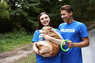 Güzel sokak köpeği olan mutlu gönüllüler.