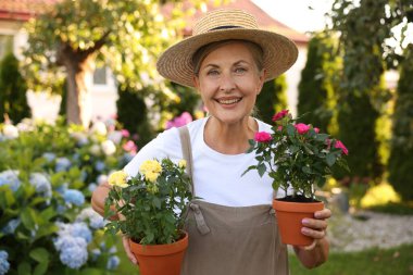 Şapkalı ve önlüklü gülümseyen yaşlı kadının portresi Bahçede saksıda güller