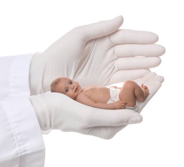 Tüp bebek (tüp bebek). Doktor küçük bebeği beyaz arka planda tutuyor.