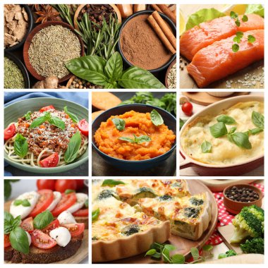 Seasoned taste. Collection of dishes with added herbs and set of spices