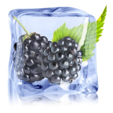 Buz küpündeki taze böğürtlenler beyaza izole edilmiş.