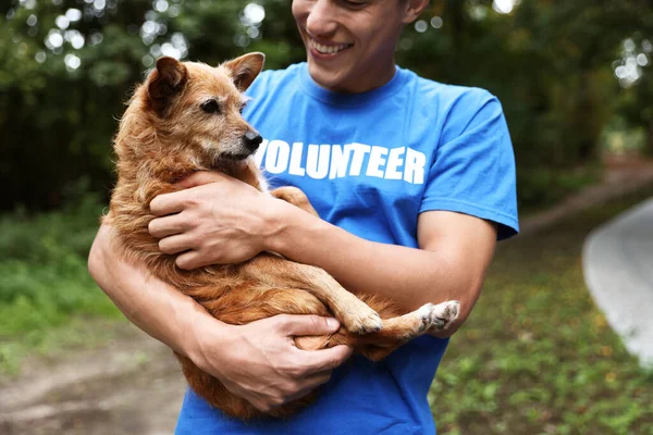 Şirin sokak köpeği olan bir gönüllü, yakın plan.