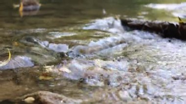 Temiz su ve taşlarla dolu güzel bir nehir, yakın plan.