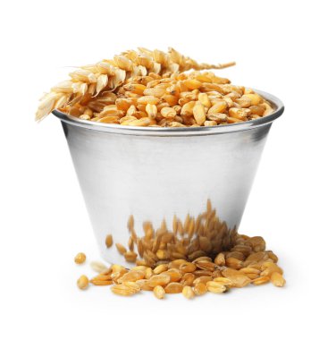 Metal kasedeki buğday taneleri ve beyaza izole edilmiş kuru çiviler.