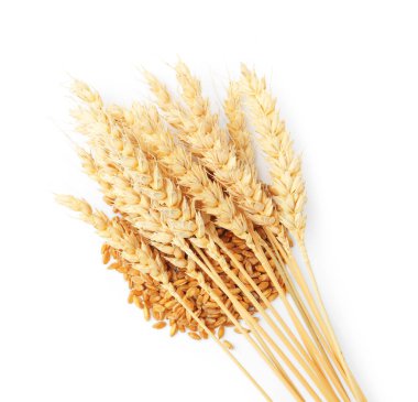 Buğday taneleri ve kuru çiviler beyaz, üst görünümde izole.