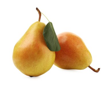 Taze armutlar, beyaz yapraklı yeşil yapraklar.