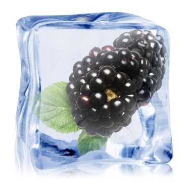 Buz küpündeki taze böğürtlenler beyaza izole edilmiş.