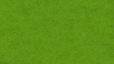 Çimenler yemyeşil, manzaralı. Pankart tasarımı