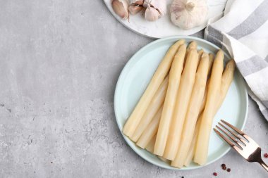 Gri masa üzerinde kuşkonmaz ve baharat turşusu. Metin için boşluk