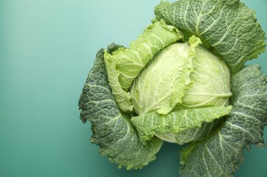 Yeşil arka planda taze bir Savoy lahanası. Metin için boşluk