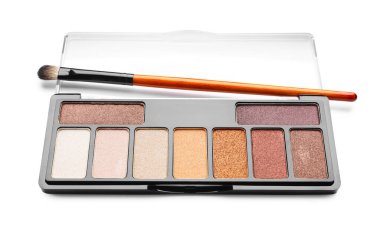 Beyaz üzerine izole fırça ile güzel göz falı paleti