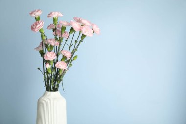 Açık mavi arka planda vazoda karanfil çiçekleri, yakın plan. Metin için boşluk