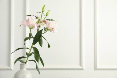 Beyaz duvarın yanındaki vazoda güzel zambak çiçekleri, metin için boşluk