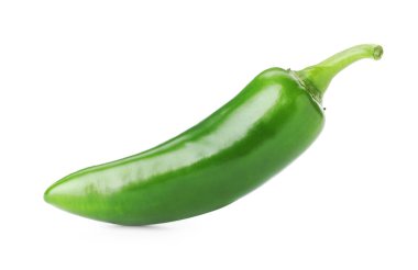 One whole green jalapeno pepper isolated on white