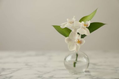 Beautiful orchid flowers with leaves in glass vase on white marble table, closeup. Space for text