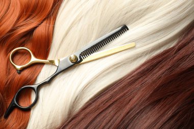 Farklı güzel saç telleri ve kuaför makası, üst manzara.