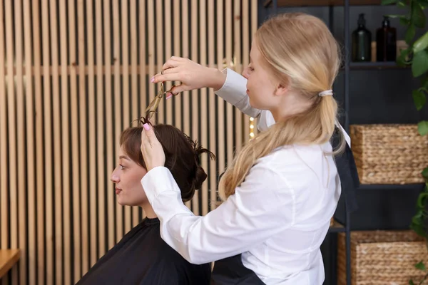 Kuaför kuaförde müşterinin saçını makasla kesiyor.