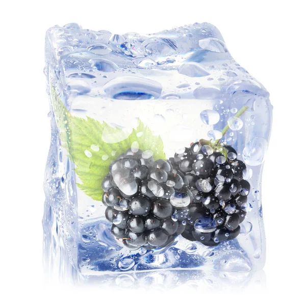 Buz küpündeki taze böğürtlenler beyaza izole edilmiş.