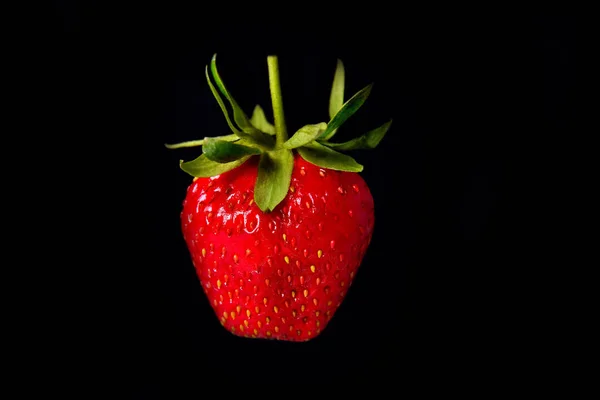 Strawberries on a black background with green leaves background close-up