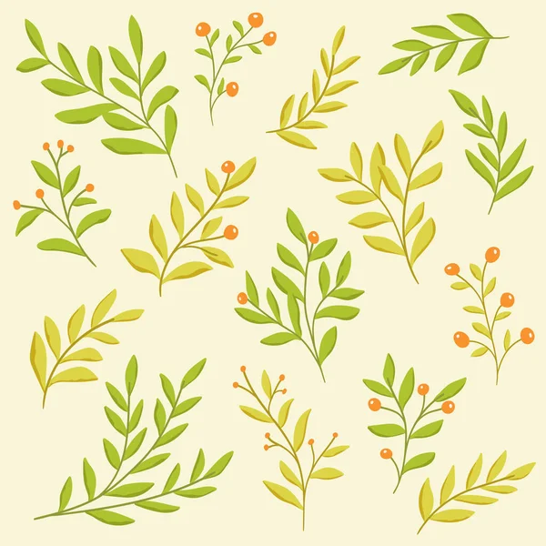 植物向量元素 一组孤立的手绘叶子 平面设计用的装饰品 — 图库矢量图片