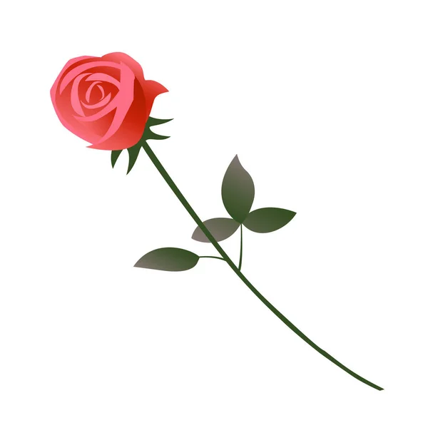 Rosa roja flor — Vector de stock