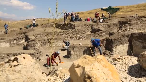 Arkeolojik Sit Süpürme Türkiye Erzincan — Stok video