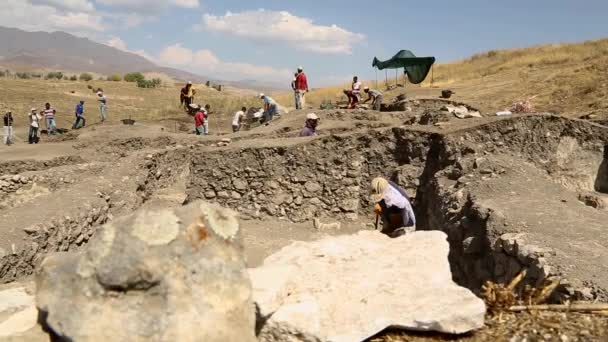Archéologie Balayer Les Murs Excavation — Video