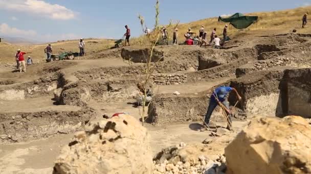 Arkeoloji Arkeoloji Kurtarma Yoluyla Insan Faaliyetleri Incelenmesi Maddi Kültür Analizi — Stok video