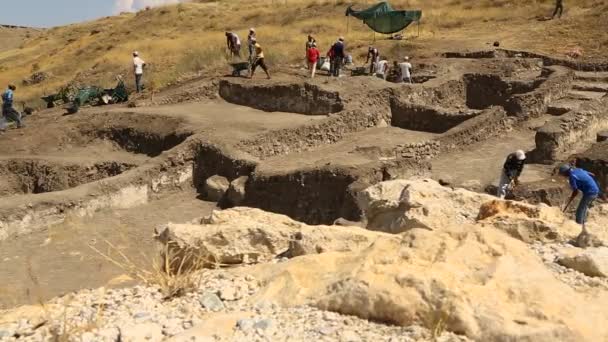 Archéologie Archéologie Est Étude Activité Humaine Par Rétablissement Analyse Culture — Video