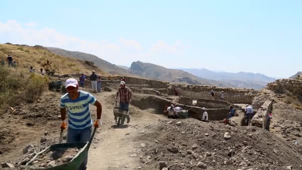 Arkeolojik Sit Süpürme Türkiye Erzincan — Stok video