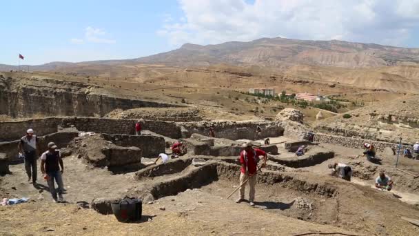 Archeologia Sweep Ściany Wykopu — Wideo stockowe