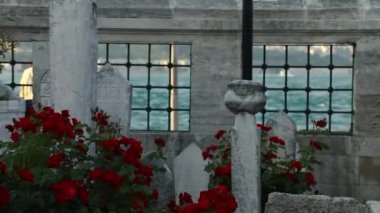 Istanbul'da modern Mezarlığı