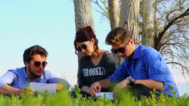 Seduto Nel Parco Erba Verde Con Blocco Note Studente Lavoro — Video Stock