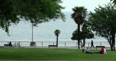 Ağaçlar Park. Park ve insanlar eğleniyor