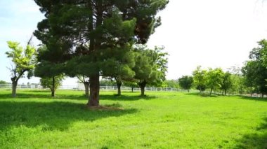 At çiftliği ve mera zevk. 