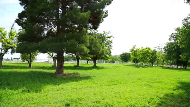 Ferme De Cheval Et Pâturage Profitant . 