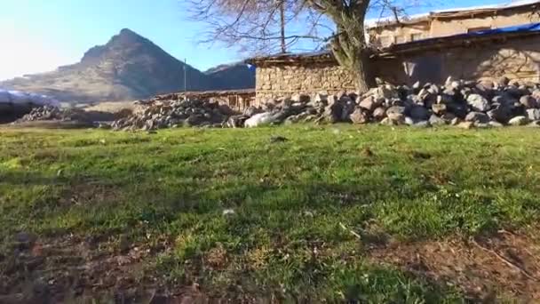 Village Montagne Turquie Maisons Village — Video