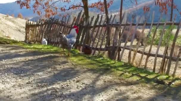 Mountain Village Turkey Homes Village — Stockvideo