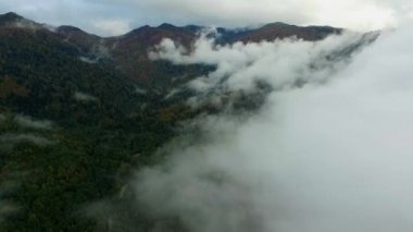 Göl ve Dağların üzerinde sis ve bulutlar. Ormanda Göl Üzerinde Uçmak