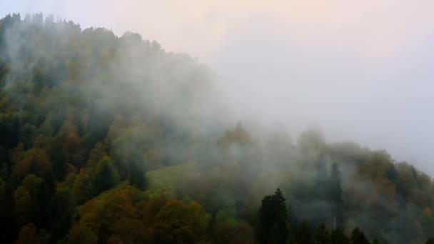 湖面和山脉上空的雾和云 在森林中飞越湖面 — 图库视频影像